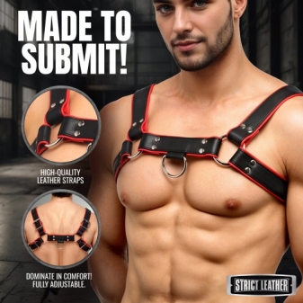 Leather English Bull Dog Harness Black/Red
